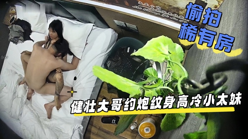 稀有房偷拍_健壮大哥约炮纹身高冷小太妹