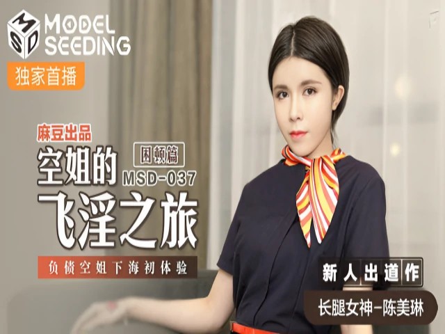 空姐的飞淫之旅 困顿篇 新人女优 陈美琳 MSD037